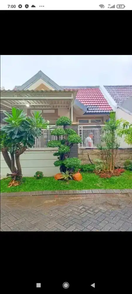 Spesialis pembuat Taman dan kolam ikan koi