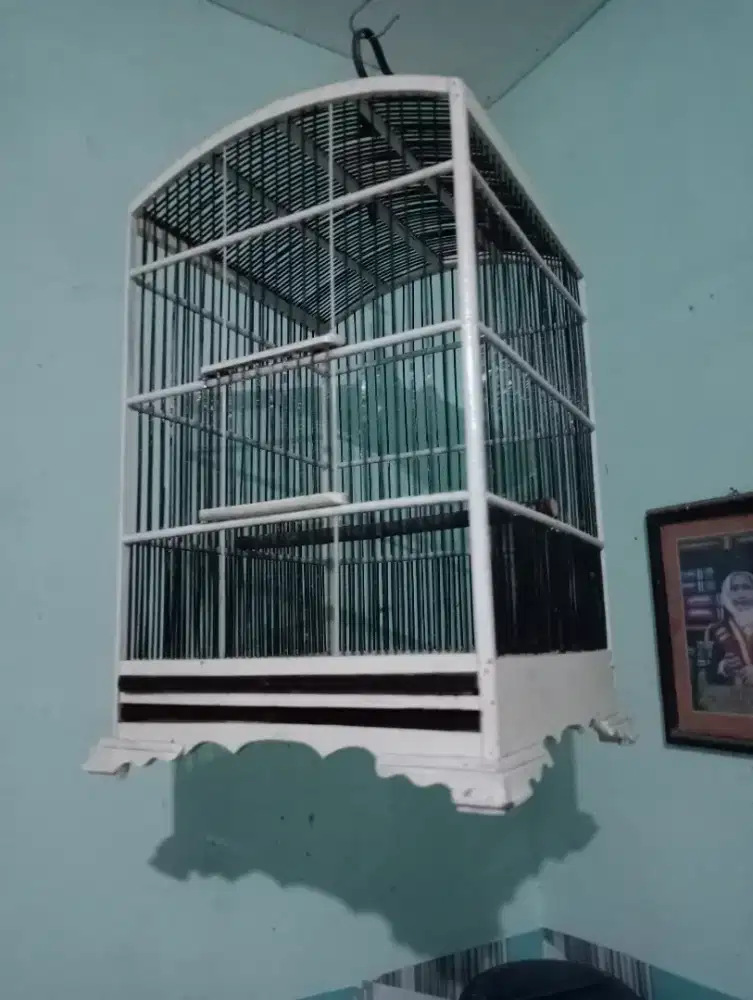 Siap pakai ruji aman uk 35*35+krodong