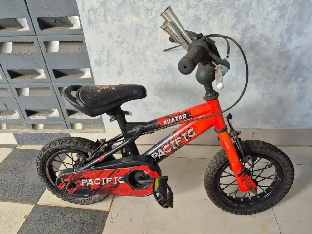 Sepeda anak laki laki