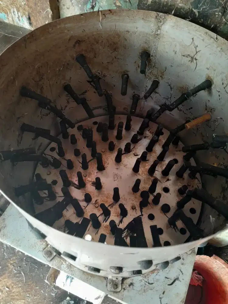 Jual mesin cabut bulu ayam