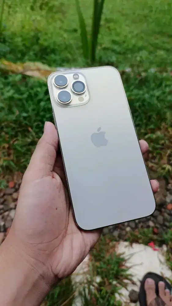 iphone 13 Pro Max 128Gb Inter LL/A