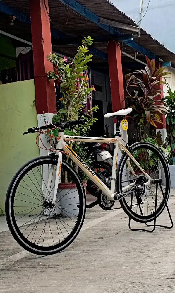 Sepeda fixie roadbike mtb hybrid 700c pacific