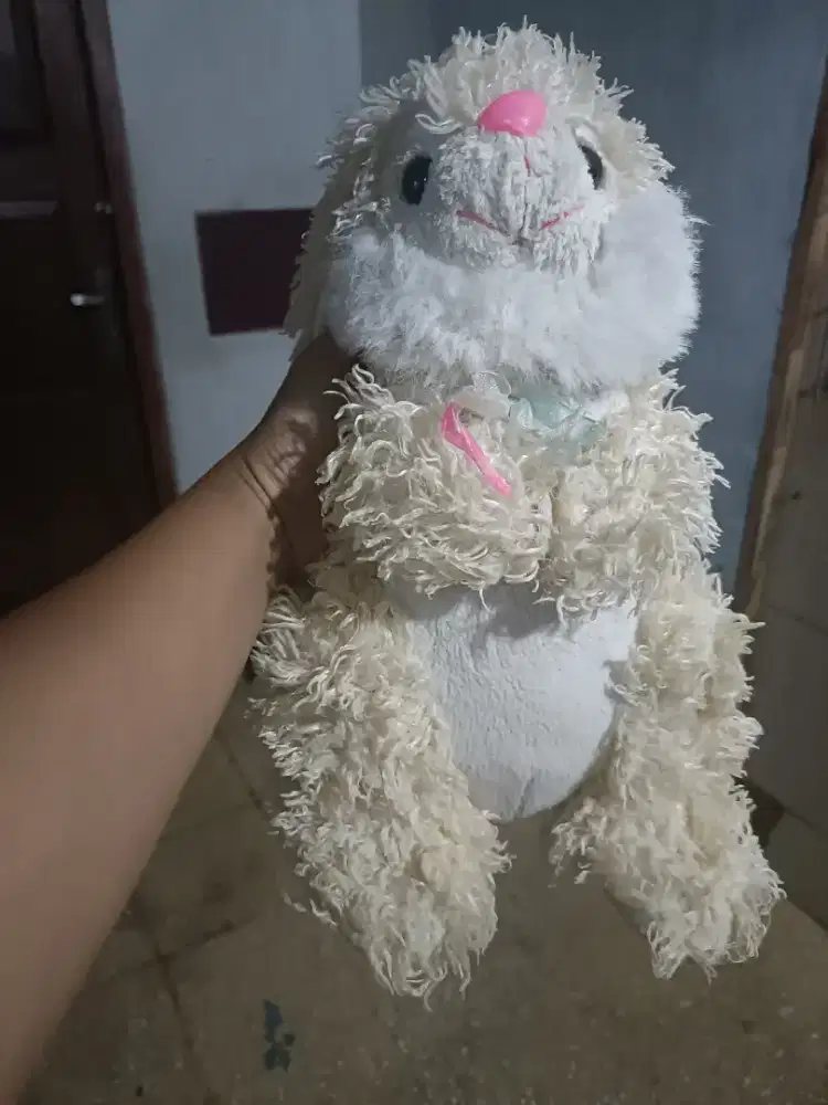 Boneka kelinci cantik