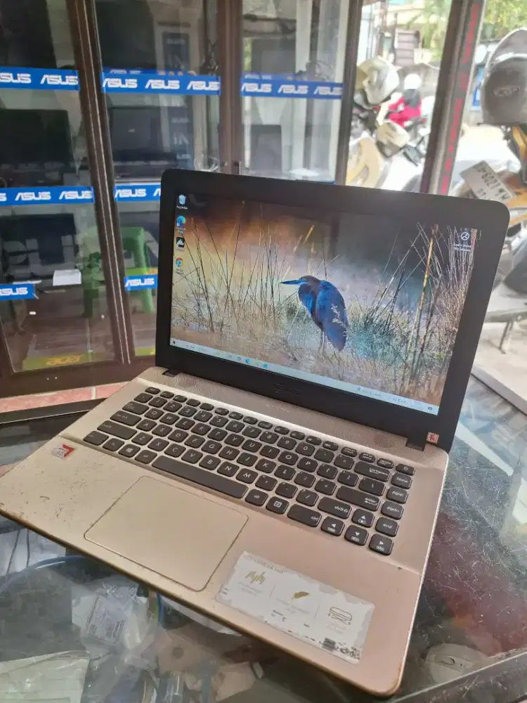 Laptop Asus X441B AMD A6-9225 | RAM 4 GB HDD 1000GB Gaming standar