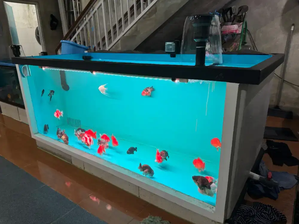 Bak fiber jumbo p 210 L110 T80