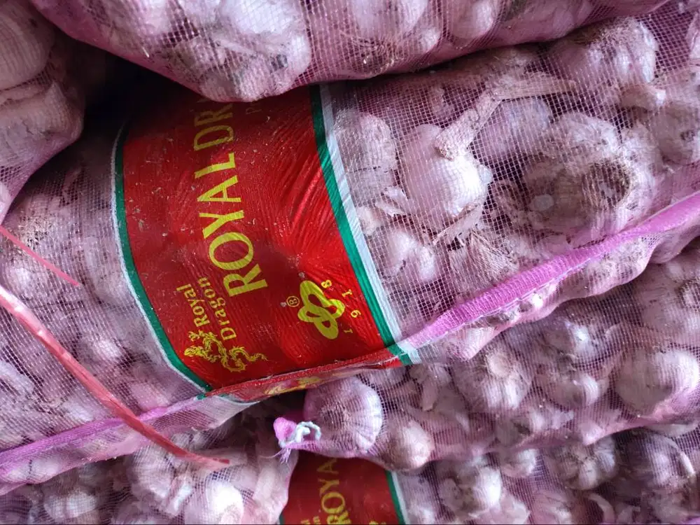 Perusahaan Importir Bawang Putih membutuhkan: