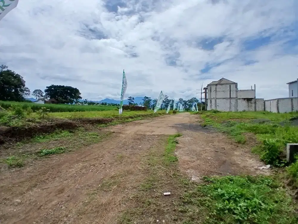 2 Menit Bandara Malang Bisa Bangun Homestay Bangun Kost Pasti Untung