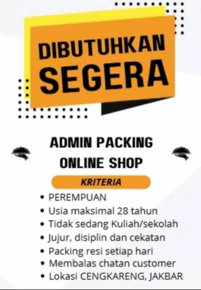 DI CARI CEPAT YANG SERIUS ADMIN PACKING UNTUK ONLINE SHOP - CEWEK