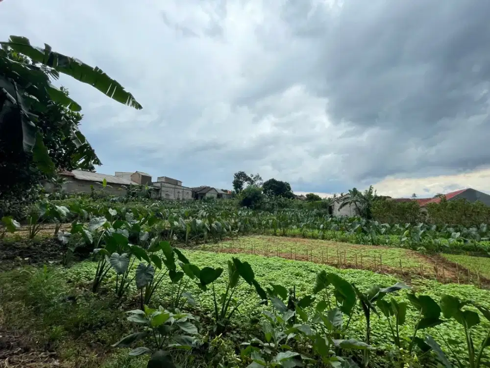 Kavling 10 Menit Stasiun Cilebut Diskon 25jt