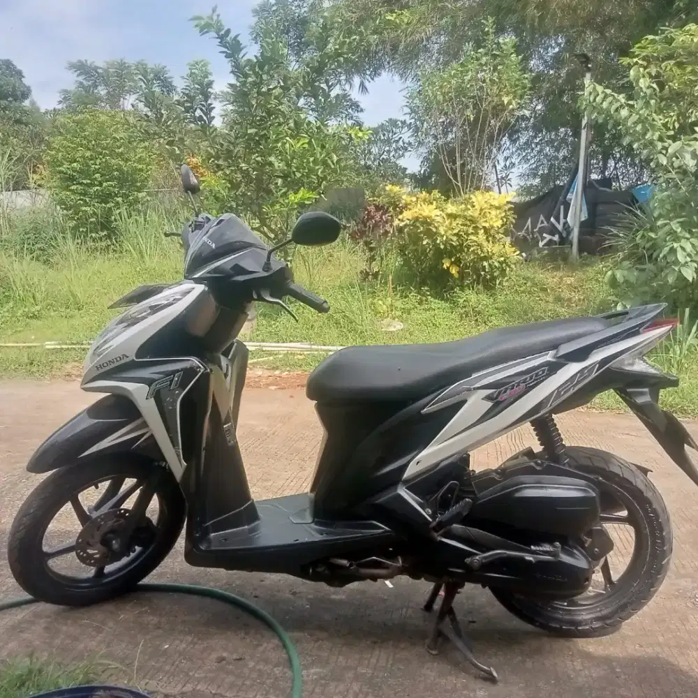 Vario 125 mulus
