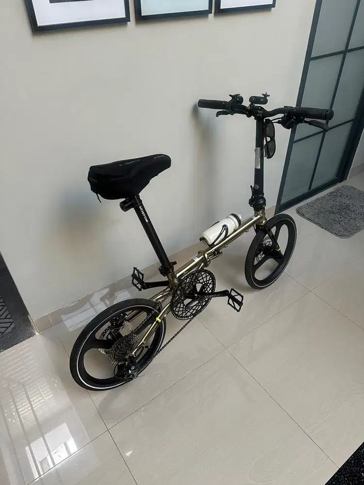 Fnhon Gust Discbrake 16 Plus Titanium