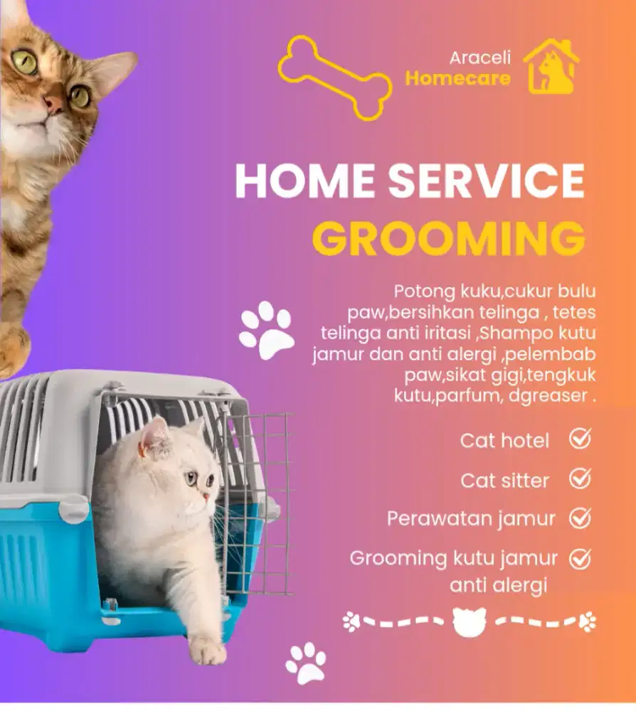 Grooming kucing homeservice