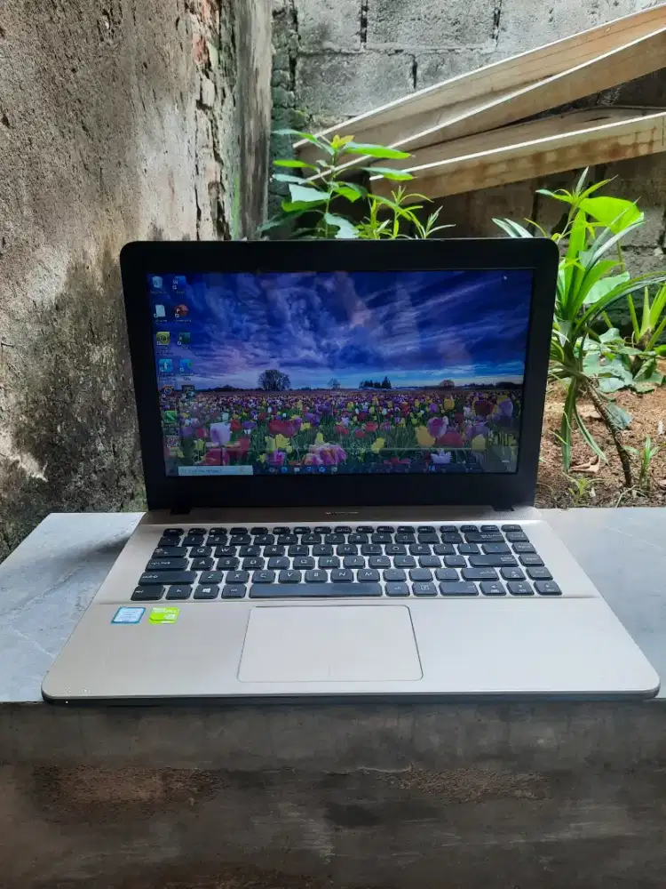 Laptop murah normal