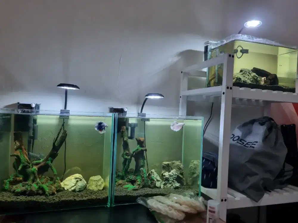 JUAL AQUARIUM AQUASCAPE 1 SET DEKORASI