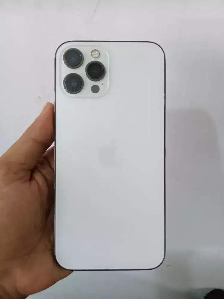 iphone 12 Pro max 256 gb sinyal t daftar