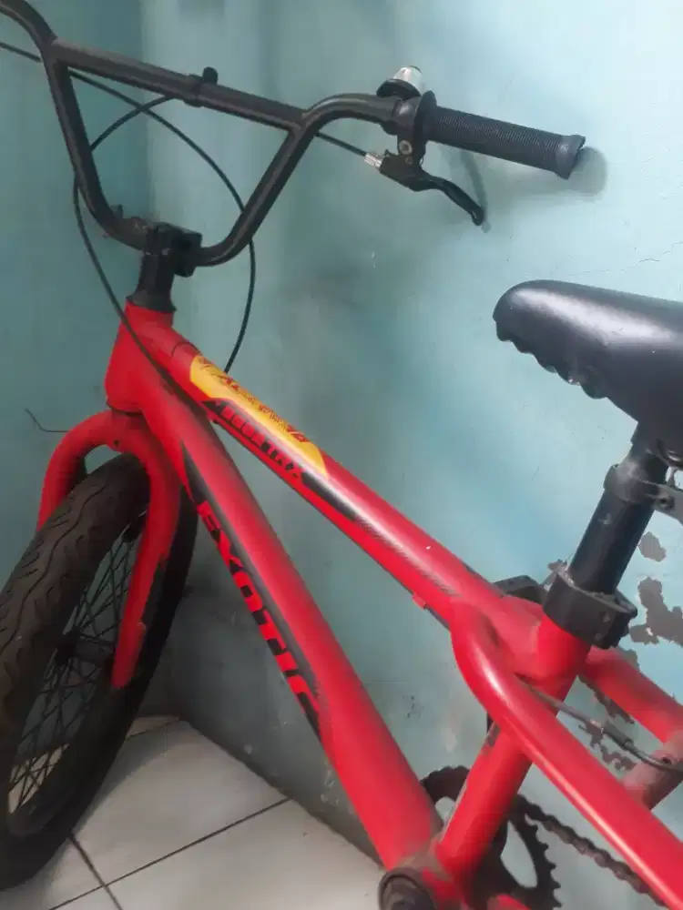 BMX Exotic 9982 TRX