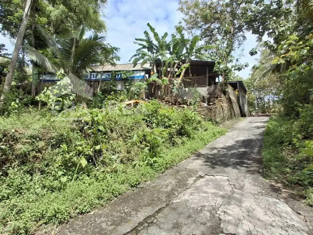 TANAH DIJUAL DI JOGJA DEKAT KAMPUS UMY