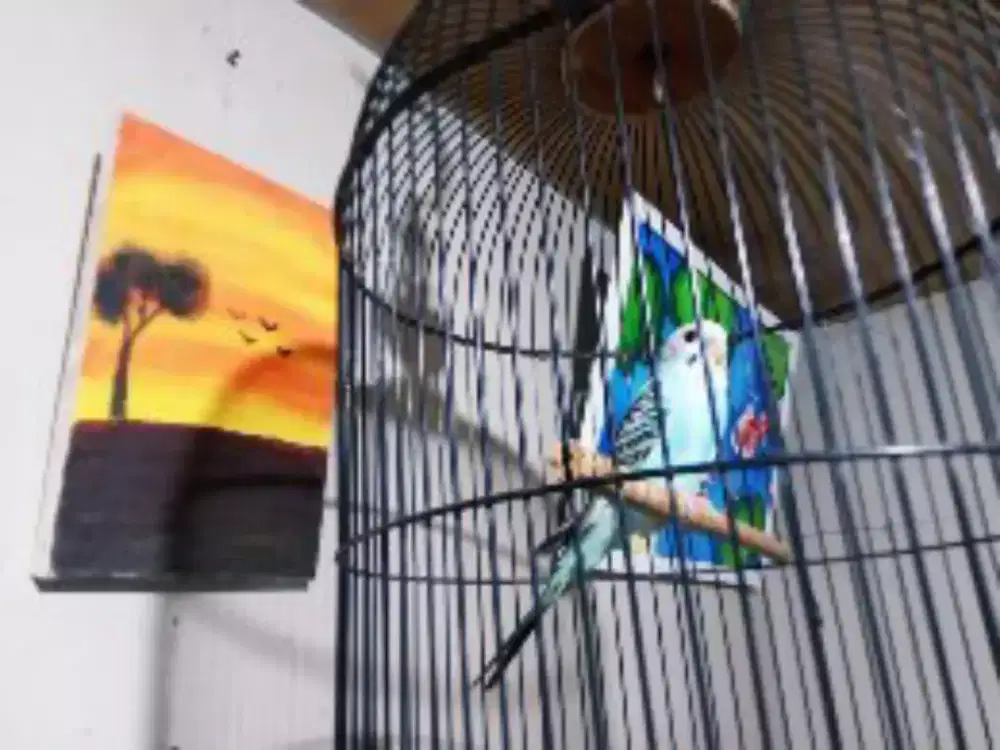 Parkit lokal fullset+