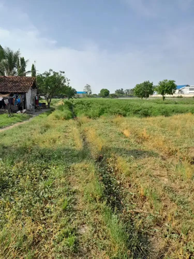 Dijual tanah strategis pinggir jalan pantura