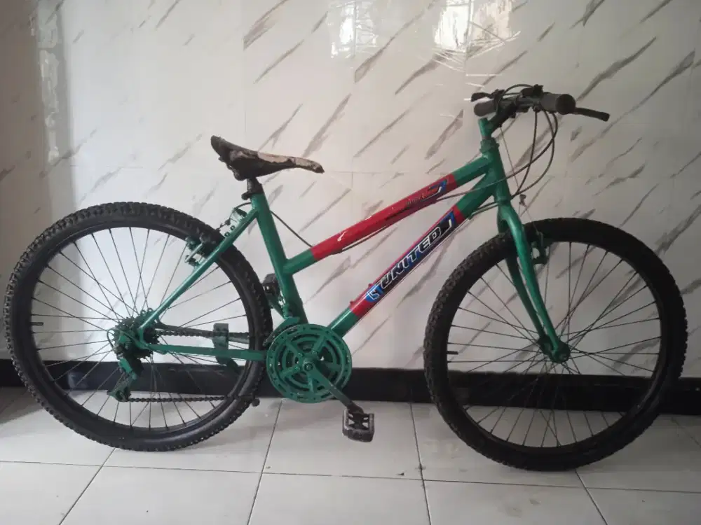 Sepeda gunung MTB ladys