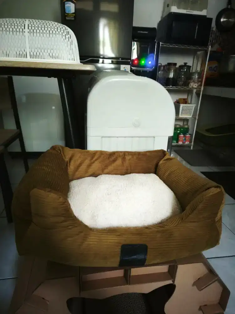 Paws and tails tempat tidur kucing azko