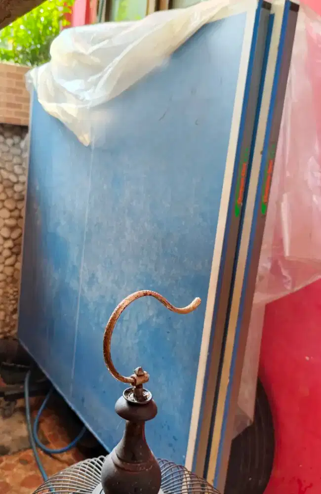 Tenis meja championstars