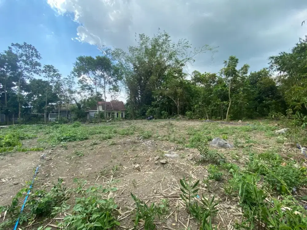 Tanah Kavling Harga 1,9 Jutaan/m² di Sleman – Cocok untuk Hunian & Investasi