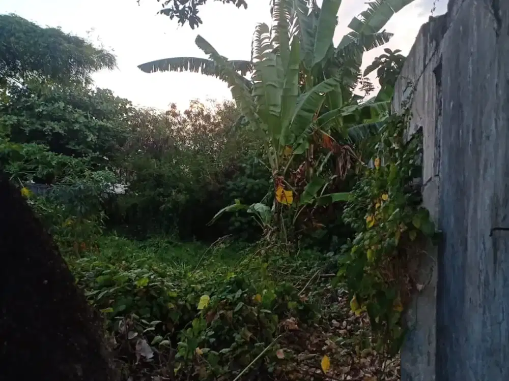 Tanah murah di gelogor carik bali denpasar