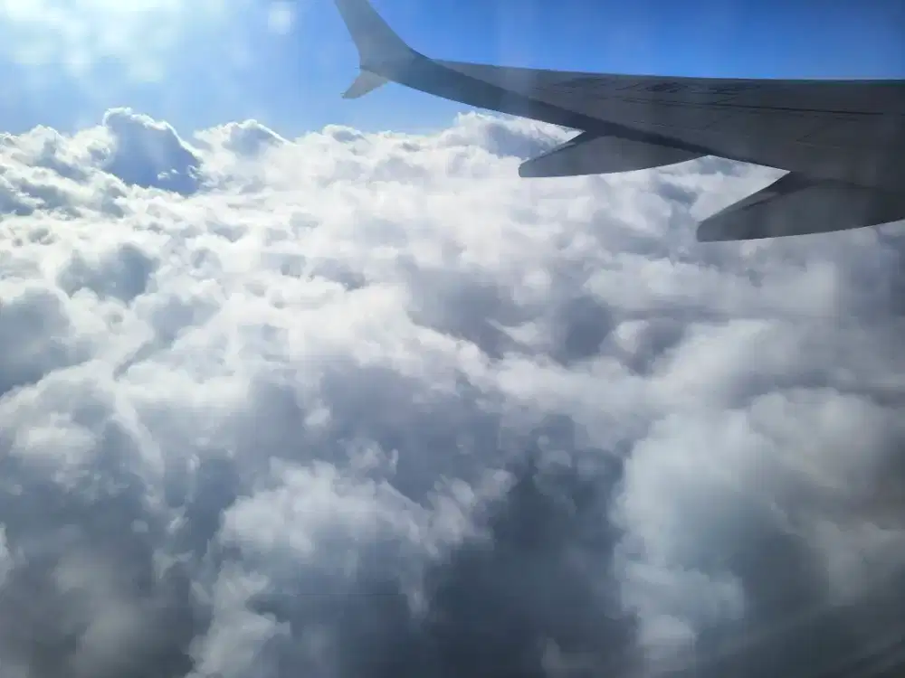 Dicari pembantu rumah tangga