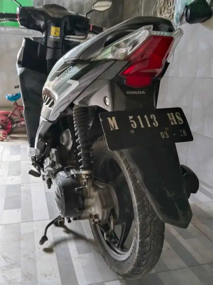 vario 2010 mulus