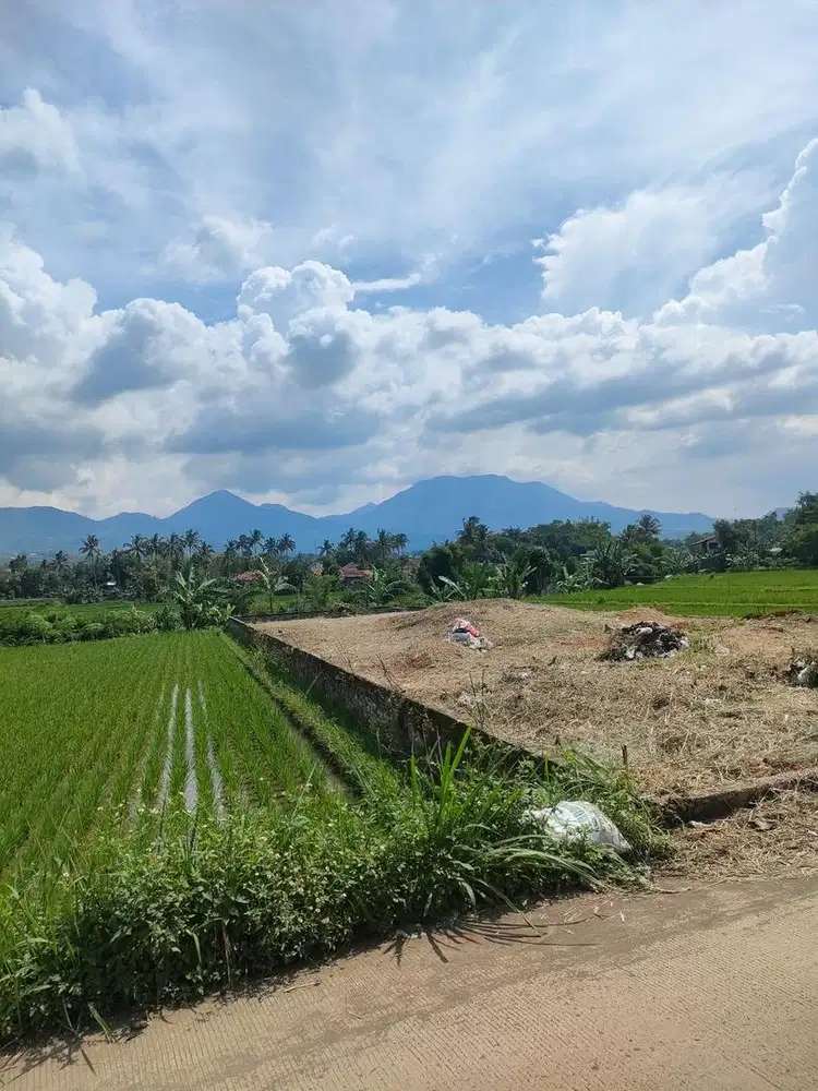 Bissmilah Jual Tanah