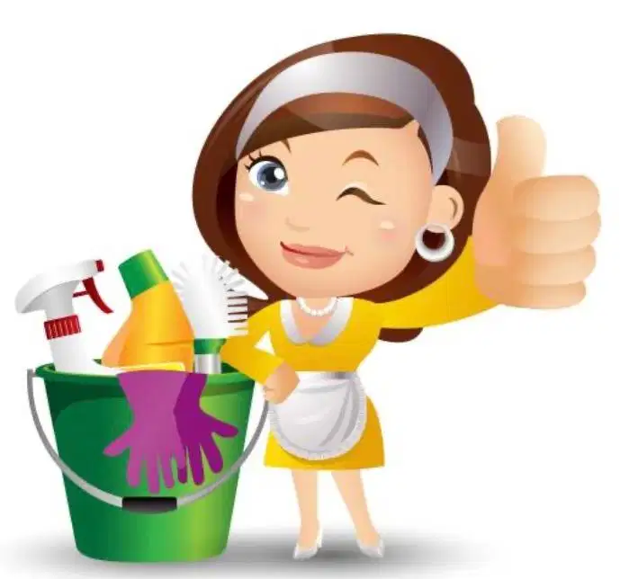 Jasa Kebersihan Rumah / Apartemen / Kost