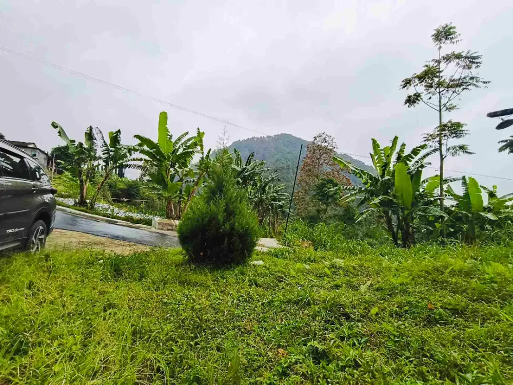 Jual tanah Murah banget di pusat wisata kemuning karanganyar