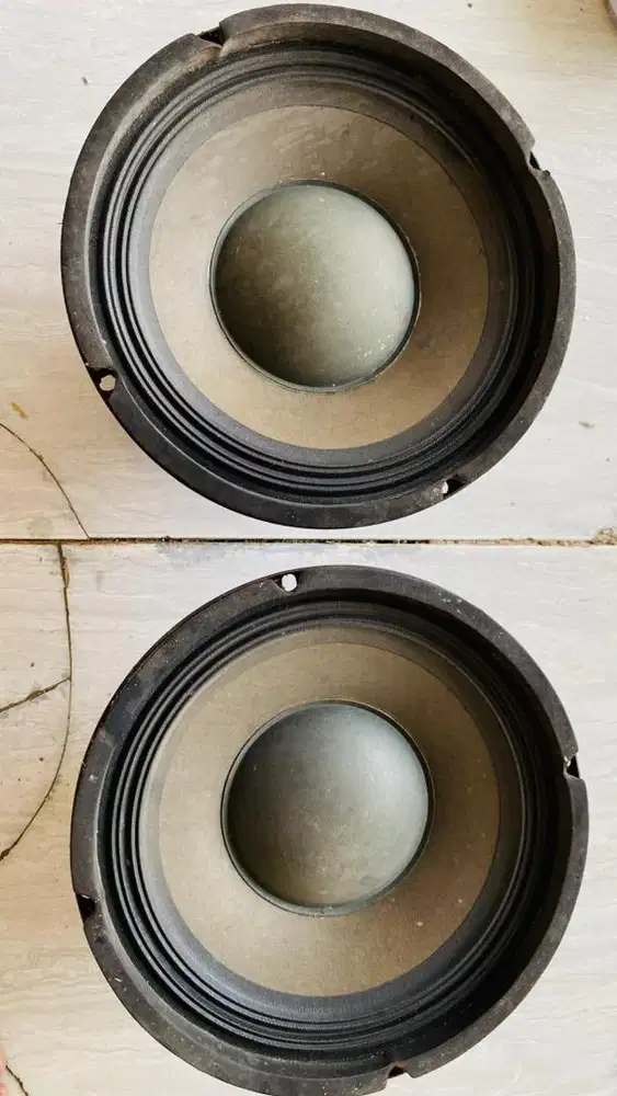 Speker 8in ori copotan