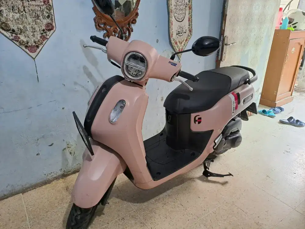 Fazzio neo KM rendah