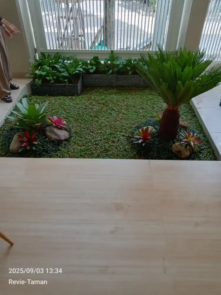 Tukang taman murah bergaransi