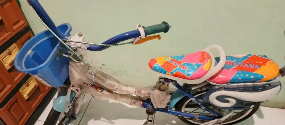 Sepeda Anak Kondisi Apa adanya