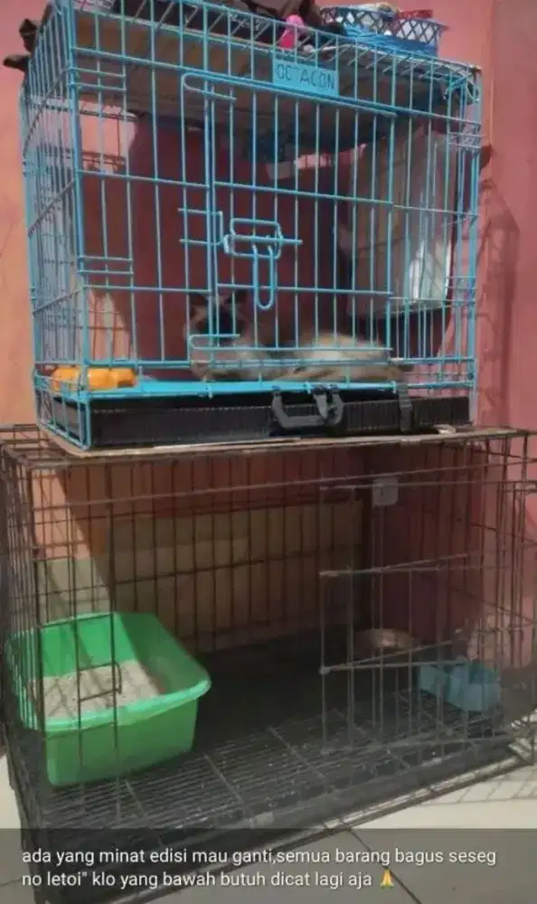 kandang lipat kucing