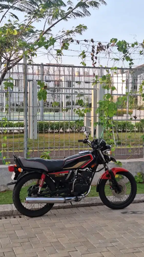 Yamaha Rx-King Cobra