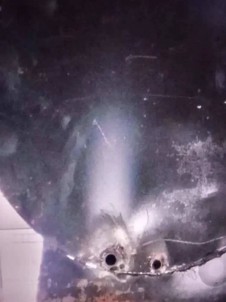 Butuh segera bbrp welder/tukang las pengalaman