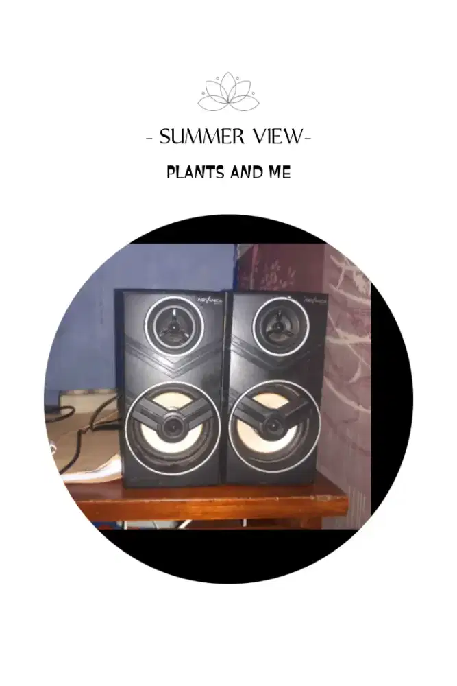 Speaker Mini Usb Audio Jack