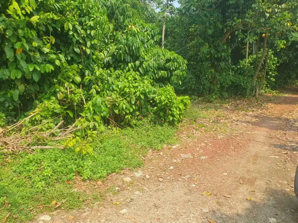 Kavling SHM Cisauk, hanya 1jtan 4Km Stasiun Jatake