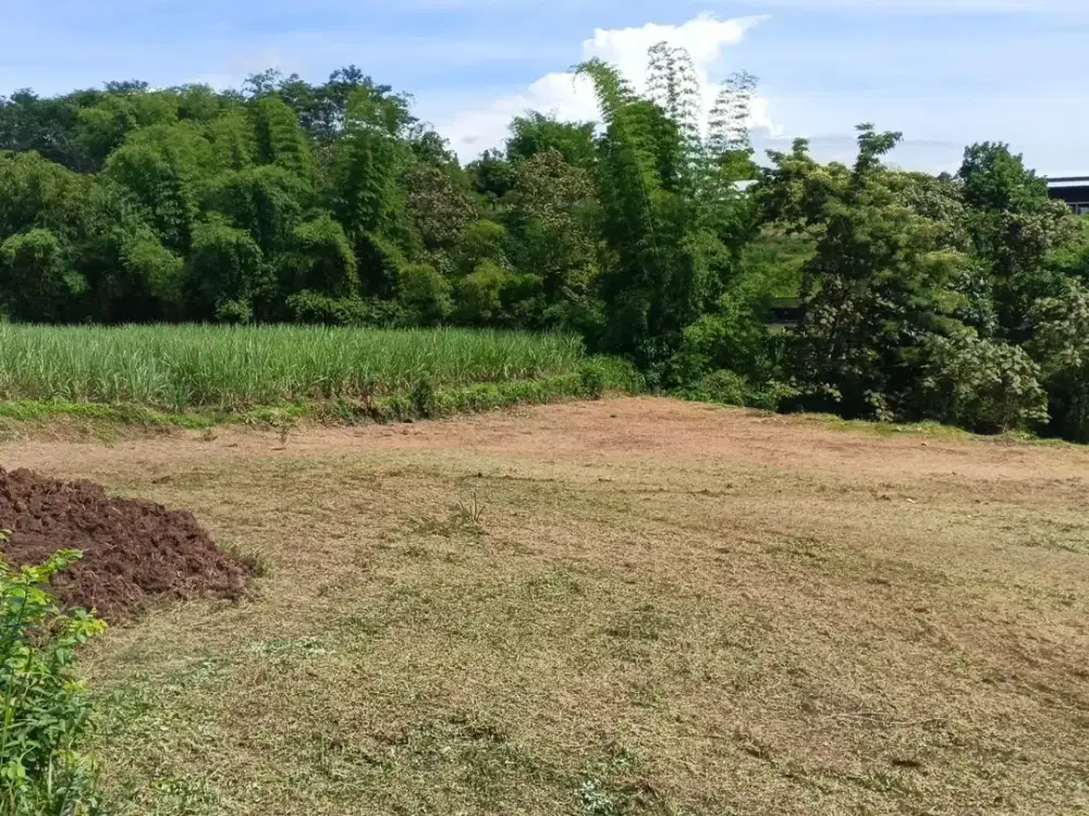 Kavling Murah Wagir Mulai Harga Terjangkau, Siap Bangun!