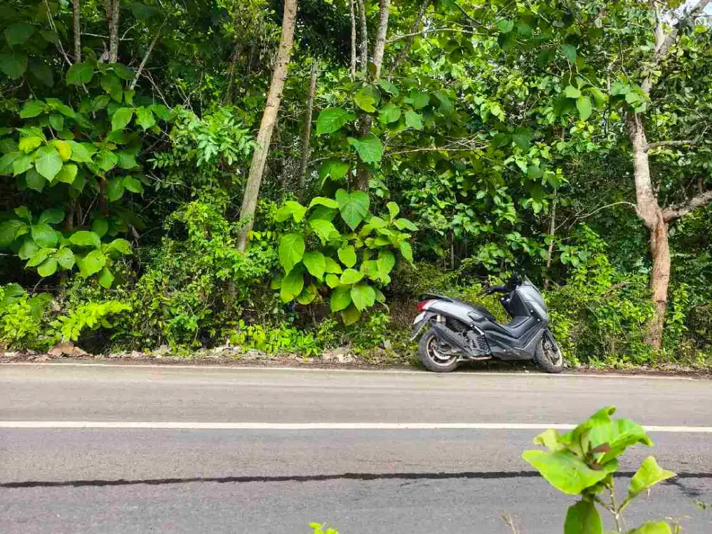 dijual tanah 2393m² IDR 600 juta per are  jln utama pantai Balangan Jimbaran Kuta Selatan Badung Bali