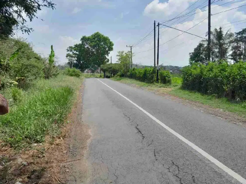 TANAH POROS JALAN PROVINSI GEMBOR BAYUWANGI JAWA TIMUR