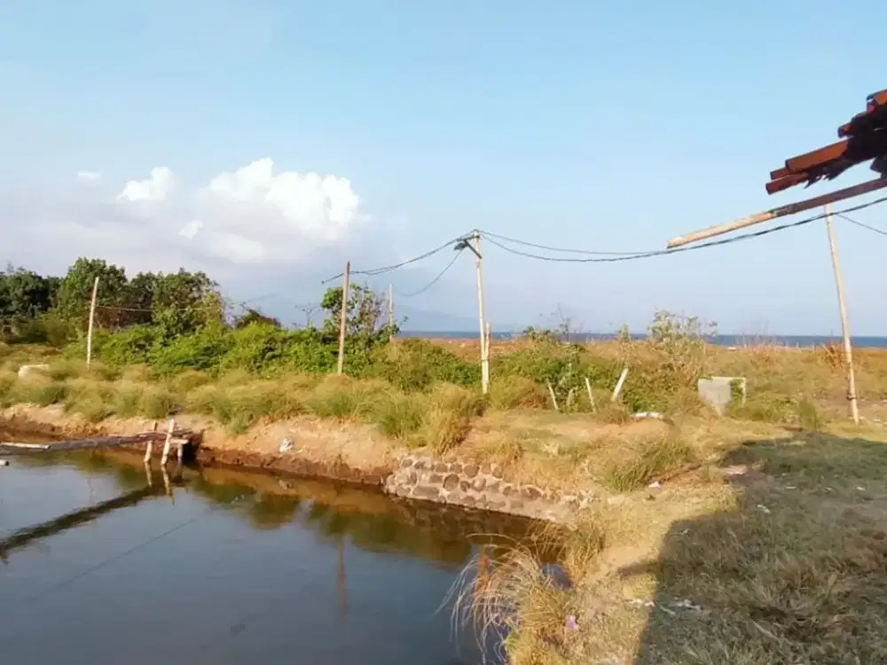 FOR SALE – Lahan Tambak, Sobo (Kota), Banyuwangi