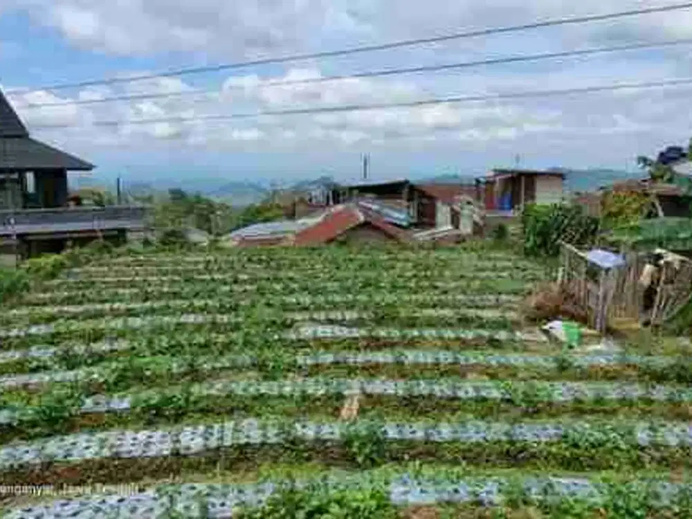 Dijual Tanah Pekarangan Lokasi Tawangmangu, Karanganyar Luas 
369m2