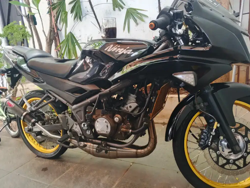 Kawasaki ninja rr