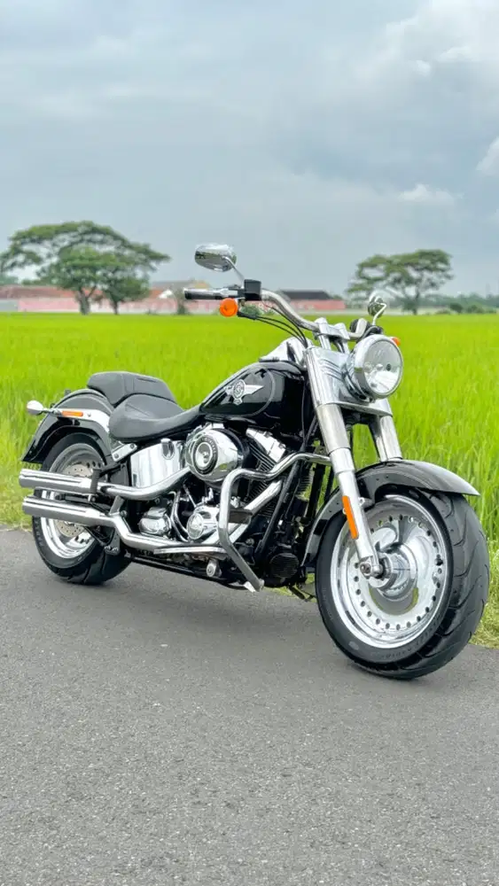 Harley Davidson Fatboy 2015