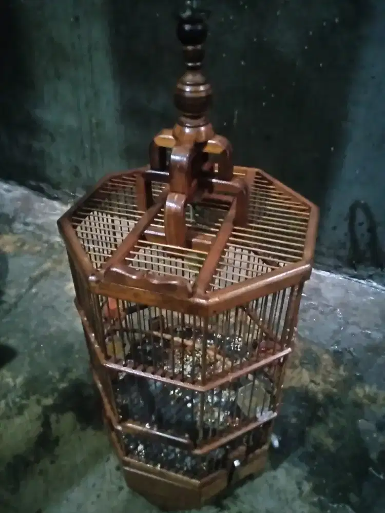 kandang burung jati segi 8 ukuran burung kecil